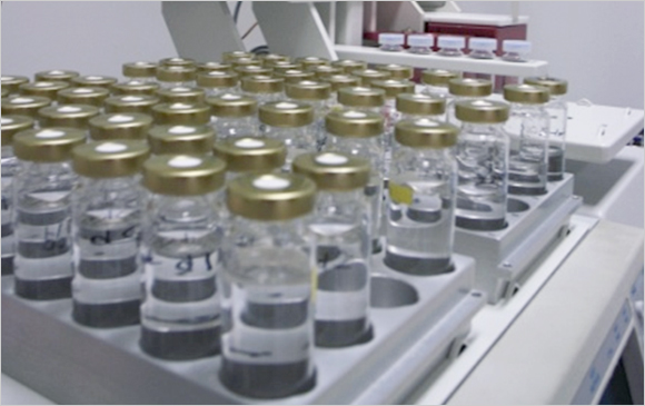 작은 샘플병들이 검사를 위해 나열되어있는