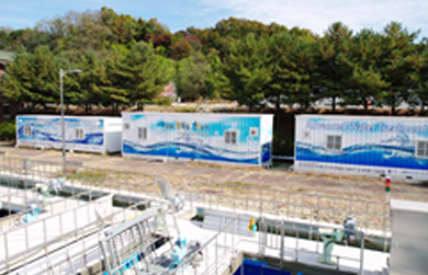 수지(정) 파일럿